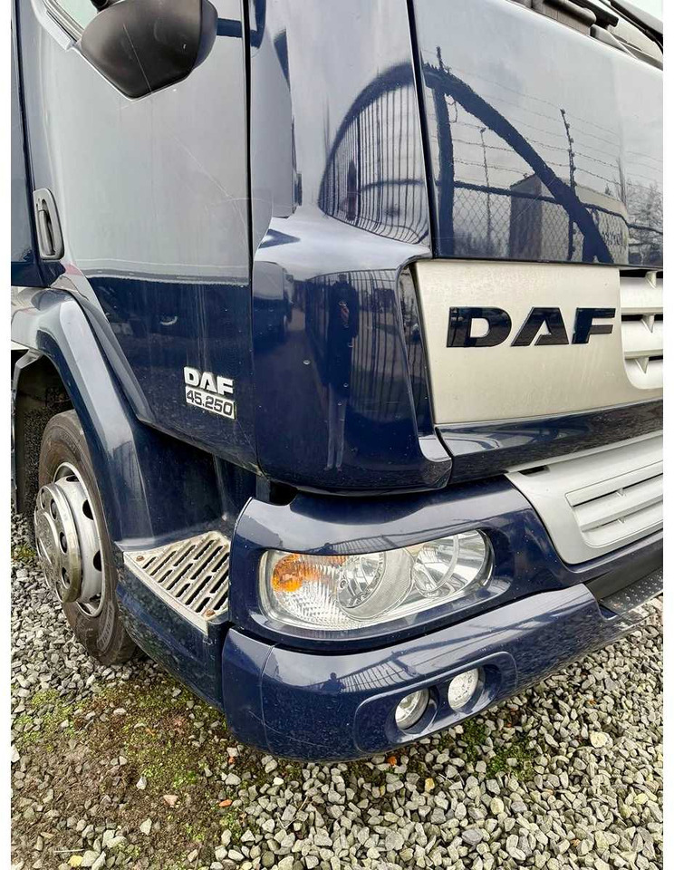 Truck 2007 DAF FA. LF45 TRUCK: picture 16