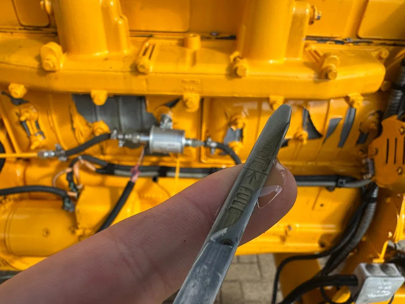 Ford Leroy Somer 80 kVA noodstroom generatorset ex Emergency 119 hours ! - Generator set: picture 3 Ford Leroy Somer 80 kVA noodstroom generatorset ex Emergency 119 hours ! - Generator set: picture 3