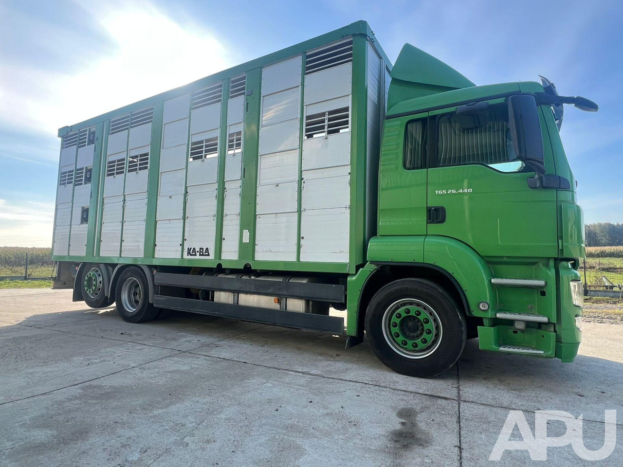 Livestock truck MAN TGS 26.440 DO PRZEWOZU BYDŁA: picture 6