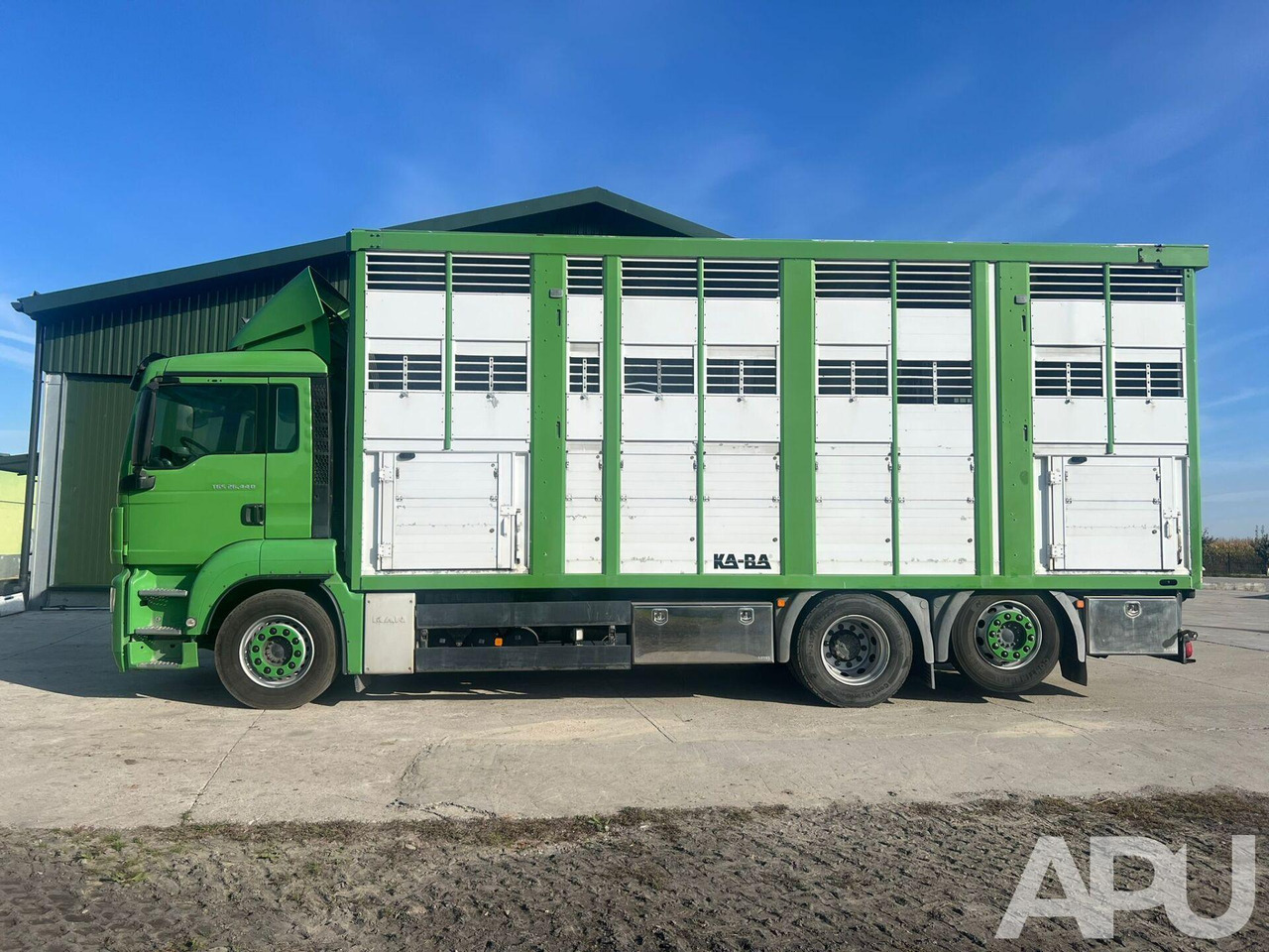 MAN TGS 26.440 DO PRZEWOZU BYDŁA - Livestock truck: picture 2 MAN TGS 26.440 DO PRZEWOZU BYDŁA - Livestock truck: picture 2