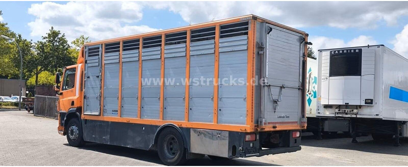 DAF CF 400 - Animal transporter - Livestock truck: picture 5 DAF CF 400 - Animal transporter - Livestock truck: picture 5