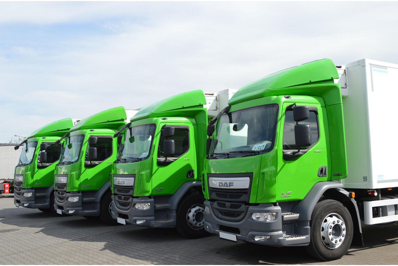 DAF LF 320 - Refrigerated truck: picture 3 DAF LF 320 - Refrigerated truck: picture 3