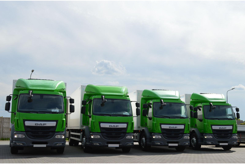 DAF LF 320 - Refrigerated truck: picture 2 DAF LF 320 - Refrigerated truck: picture 2