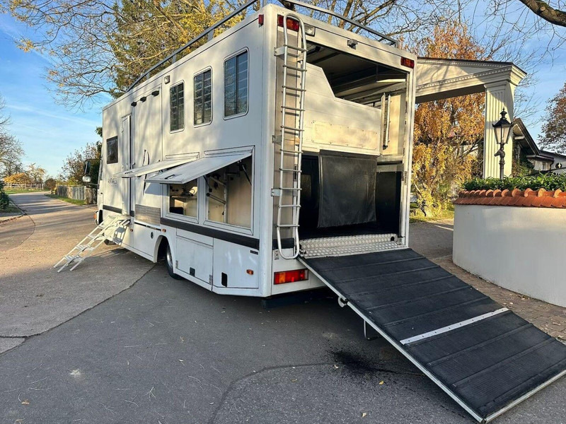 MAN 10.224 - Horse truck: picture 5 MAN 10.224 - Horse truck: picture 5