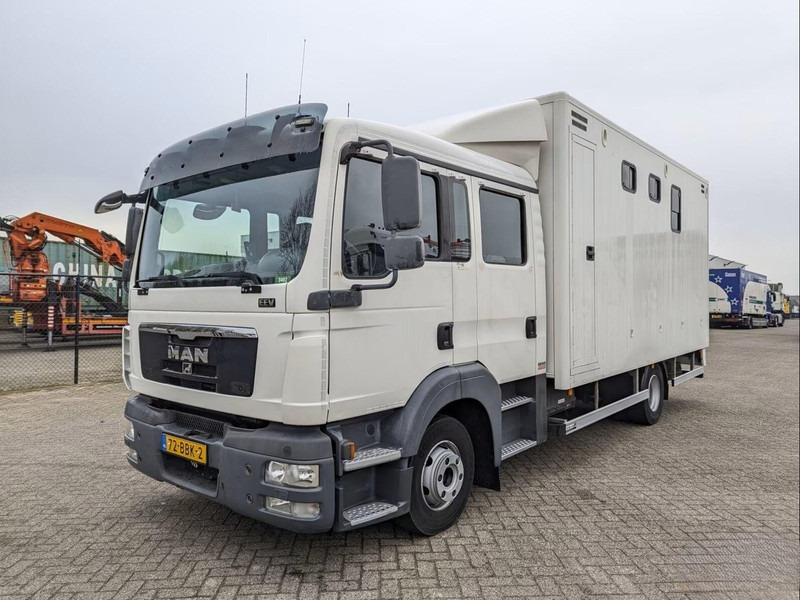 MAN TGL 12.180 - Doka Horse transporter - Horse truck: picture 1 MAN TGL 12.180 - Doka Horse transporter - Horse truck: picture 1