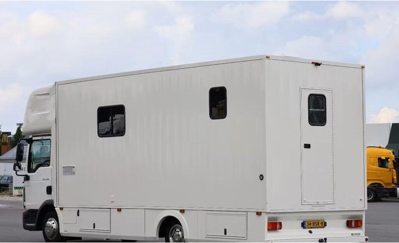 MAN TGL 8.190 - - Horse truck: picture 4 MAN TGL 8.190 - - Horse truck: picture 4