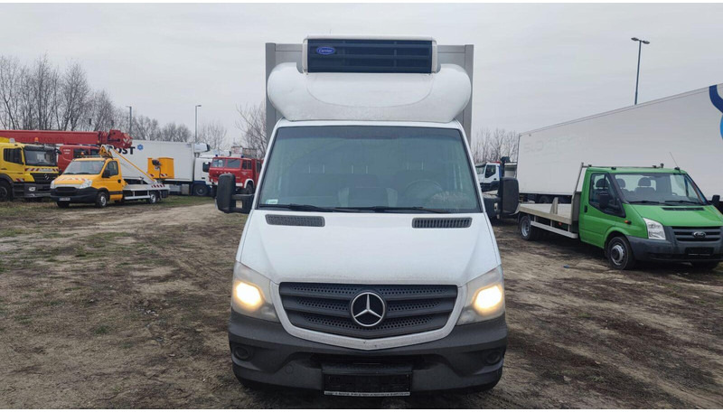 Mercedes-Benz Sprinter 316 cdi - Carrier Xarios 500 frigo - 3,5t - 220V - Refrigerated delivery van: picture 5 Mercedes-Benz Sprinter 316 cdi - Carrier Xarios 500 frigo - 3,5t - 220V - Refrigerated delivery van: picture 5