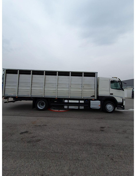 Volvo FM 500 Viehtransporter ( Rind / beef ) - Livestock truck: picture 4 Volvo FM 500 Viehtransporter ( Rind / beef ) - Livestock truck: picture 4