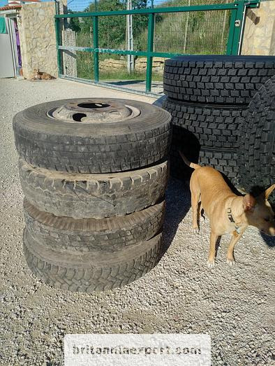 4 x used 7.50-16 LT tyres on 6 studs rims for Toyota Dyna 300 - Wheel and tire package: picture 3 4 x used 7.50-16 LT tyres on 6 studs rims for Toyota Dyna 300 - Wheel and tire package: picture 3