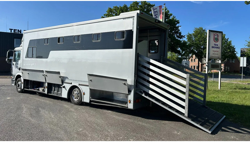 MAN TGM 15.250 5 horses and living brand Krismar - Horse truck: picture 4 MAN TGM 15.250 5 horses and living brand Krismar - Horse truck: picture 4