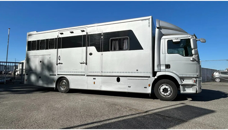 MAN TGM 15.250 5 horses and living brand Krismar - Horse truck: picture 1 MAN TGM 15.250 5 horses and living brand Krismar - Horse truck: picture 1