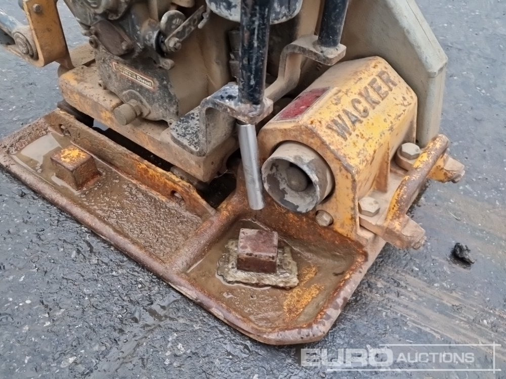 Wacker Walk Behind Compaction Plate - Asphalt machine: picture 5 Wacker Walk Behind Compaction Plate - Asphalt machine: picture 5