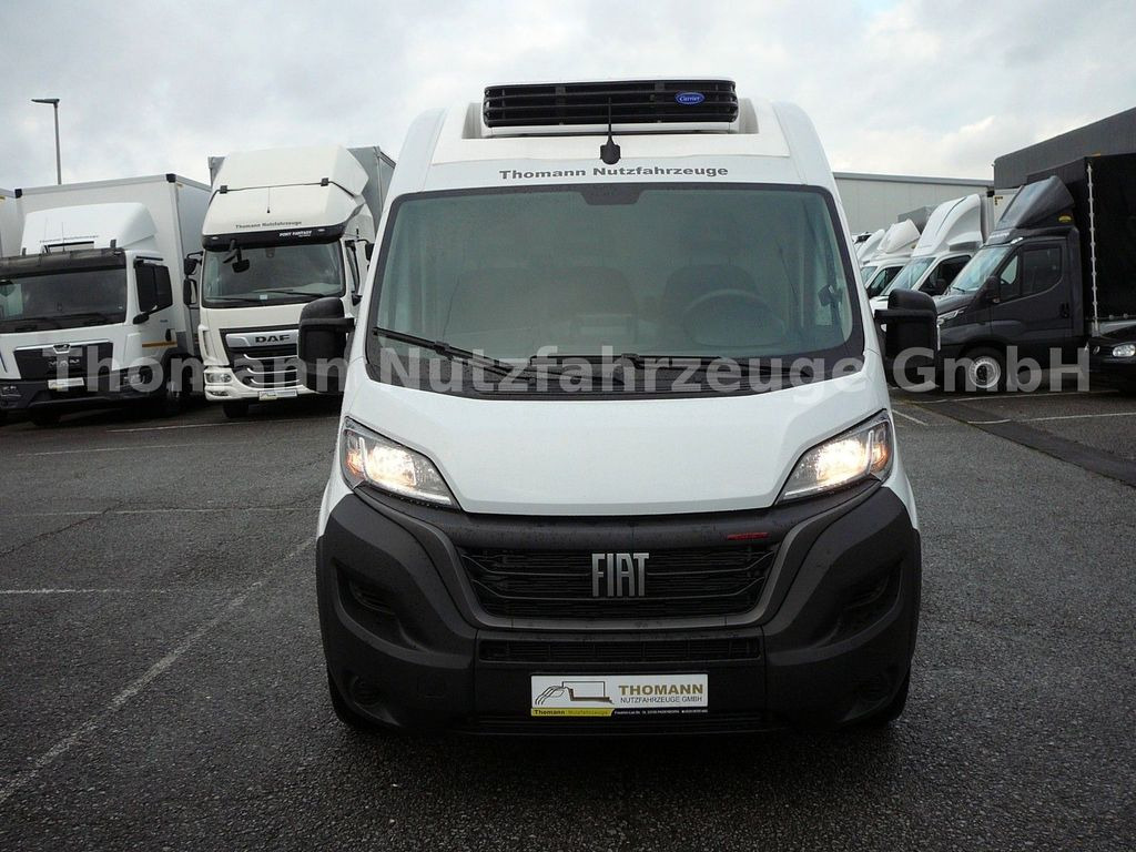 Fiat Ducato Kühlkasten L4/H2 Carrier Xarios 300GH  - Refrigerated delivery van: picture 2 Fiat Ducato Kühlkasten L4/H2 Carrier Xarios 300GH  - Refrigerated delivery van: picture 2