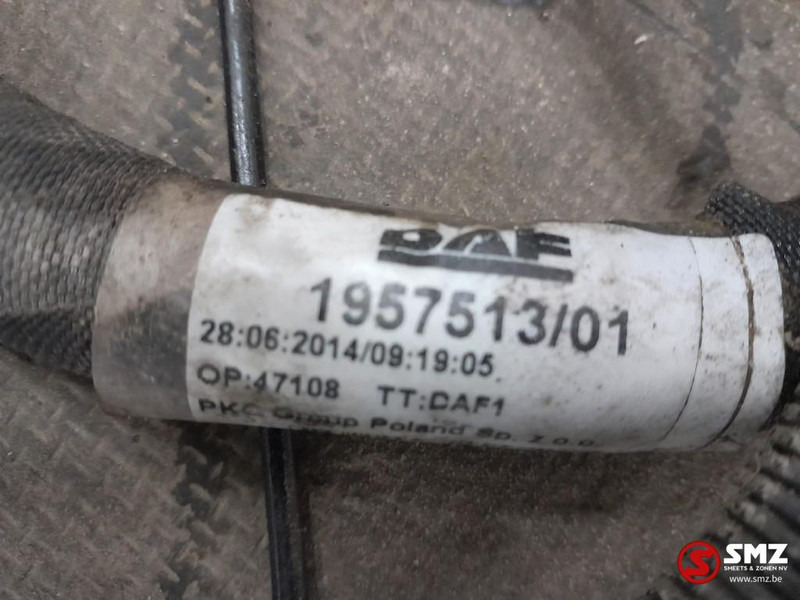 DAF Occ hoofdchassiskabelboom DAF - Cables/ Wire harness for Truck: picture 3 DAF Occ hoofdchassiskabelboom DAF - Cables/ Wire harness for Truck: picture 3