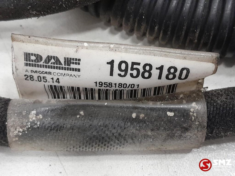 DAF Occ koplampkabelboom DAF - Cables/ Wire harness for Truck: picture 3 DAF Occ koplampkabelboom DAF - Cables/ Wire harness for Truck: picture 3