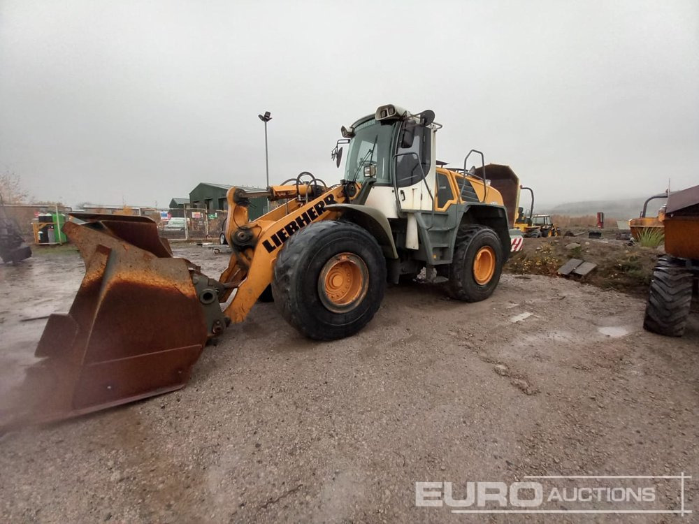 2010 Liebherr L550 - Wheel loader: picture 1 2010 Liebherr L550 - Wheel loader: picture 1
