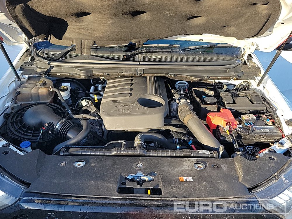 Pickup truck 2018 Ford Ranger Wildtrak: picture 13