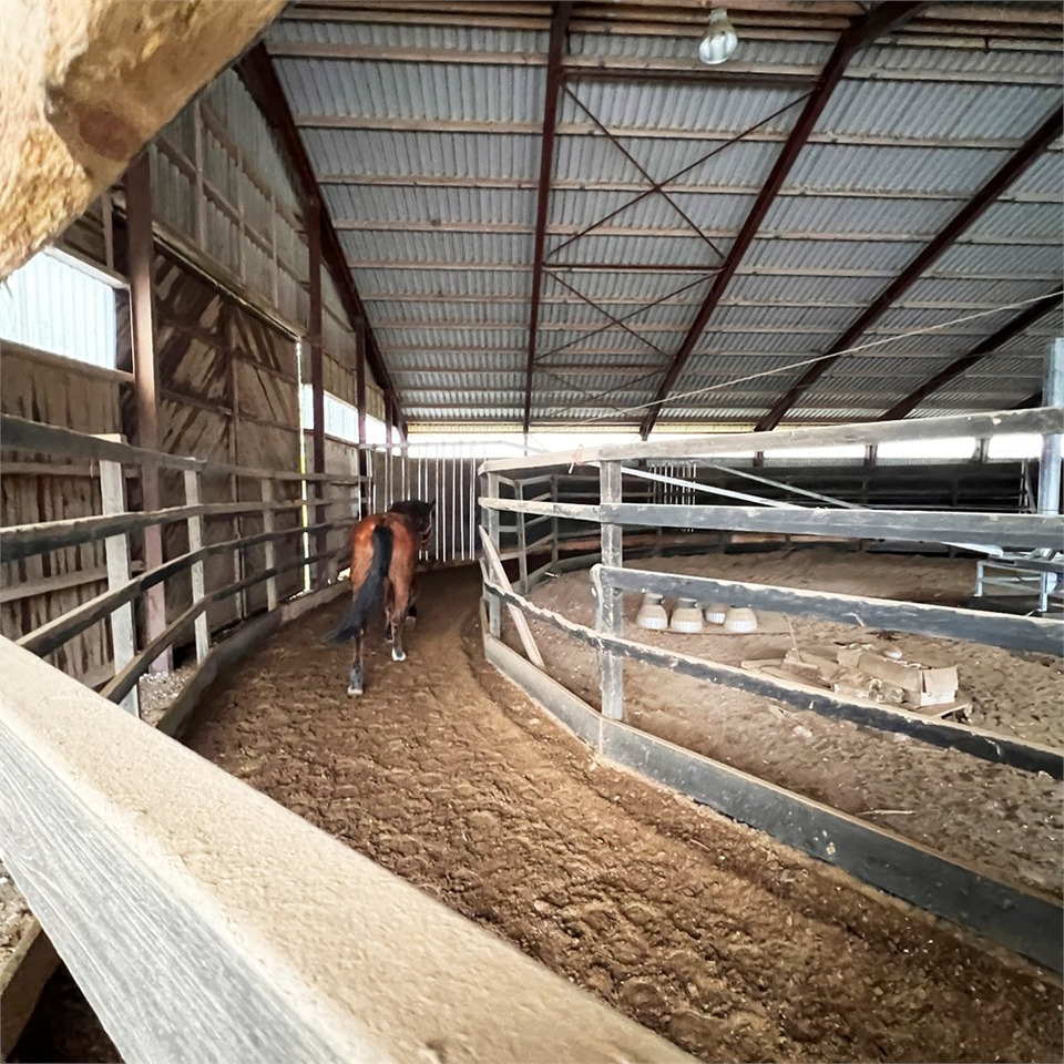 ABC Molenkoning Horse Walker - 20 meter - Se Video! - Livestock equipment: picture 3 ABC Molenkoning Horse Walker - 20 meter - Se Video! - Livestock equipment: picture 3