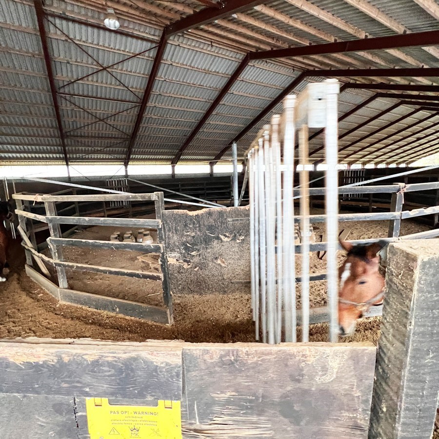 ABC Molenkoning Horse Walker - 20 meter - Se Video! - Livestock equipment: picture 2 ABC Molenkoning Horse Walker - 20 meter - Se Video! - Livestock equipment: picture 2