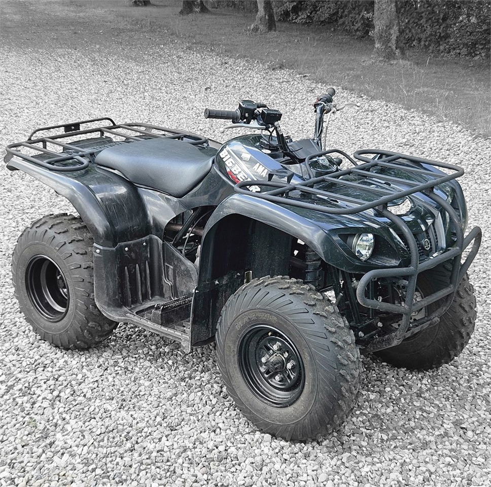 Yamaha YFM 250 - ATV/ Quad: picture 1 Yamaha YFM 250 - ATV/ Quad: picture 1