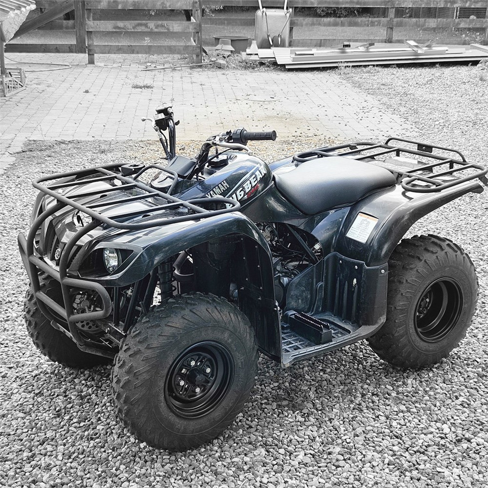 Yamaha YFM 250 - ATV/ Quad: picture 3 Yamaha YFM 250 - ATV/ Quad: picture 3