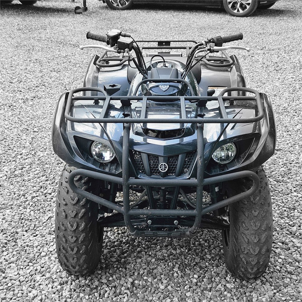 Yamaha YFM 250 - ATV/ Quad: picture 2 Yamaha YFM 250 - ATV/ Quad: picture 2