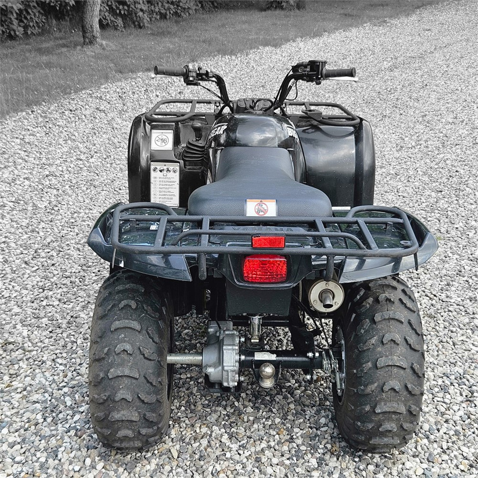Yamaha YFM 250 - ATV/ Quad: picture 5 Yamaha YFM 250 - ATV/ Quad: picture 5