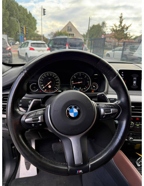 SUV BMW X6 Xdrive 30D: picture 17