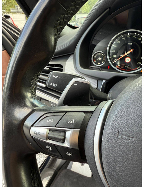 SUV BMW X6 Xdrive 30D: picture 18