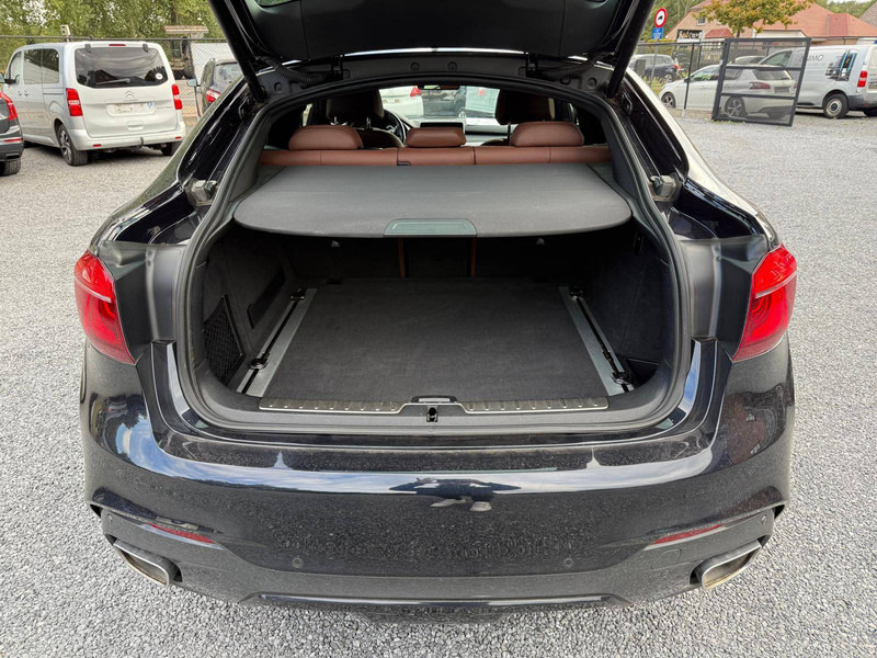 SUV BMW X6 Xdrive 30D: picture 8