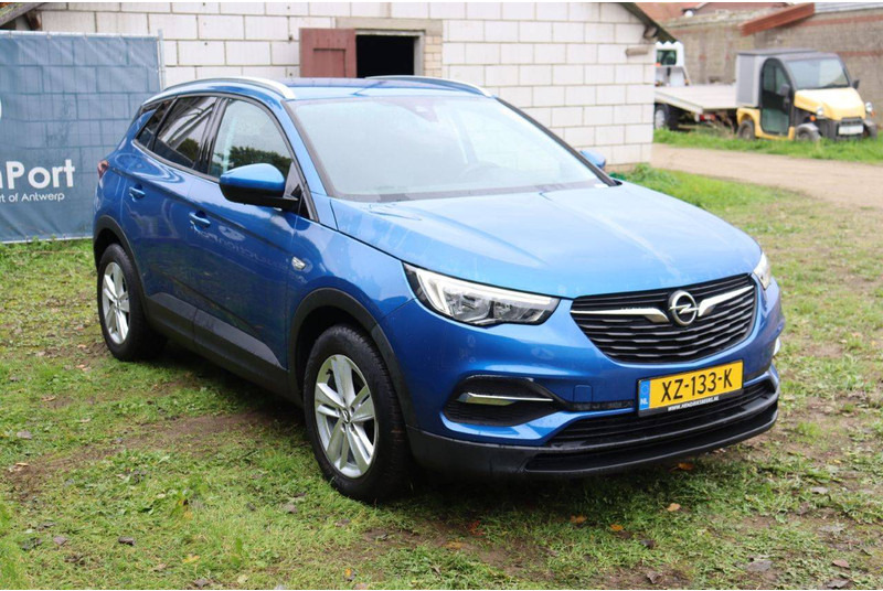 Saloon car Opel Grandland X: picture 7 Saloon car Opel Grandland X: picture 7