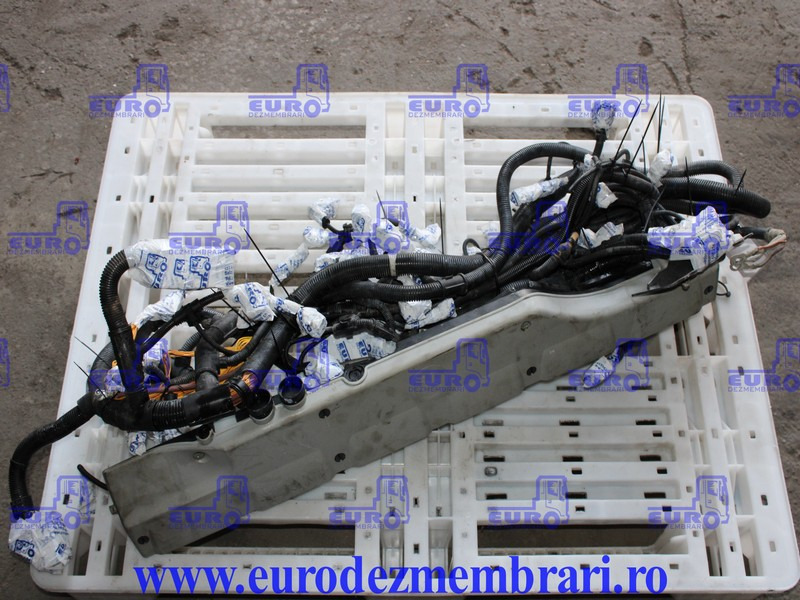 INSTALATIE ELECTRICA MOTOR MAN D2676 LF51 81.25459.6956 - Cables/ Wire harness for Truck: picture 1 INSTALATIE ELECTRICA MOTOR MAN D2676 LF51 81.25459.6956 - Cables/ Wire harness for Truck: picture 1