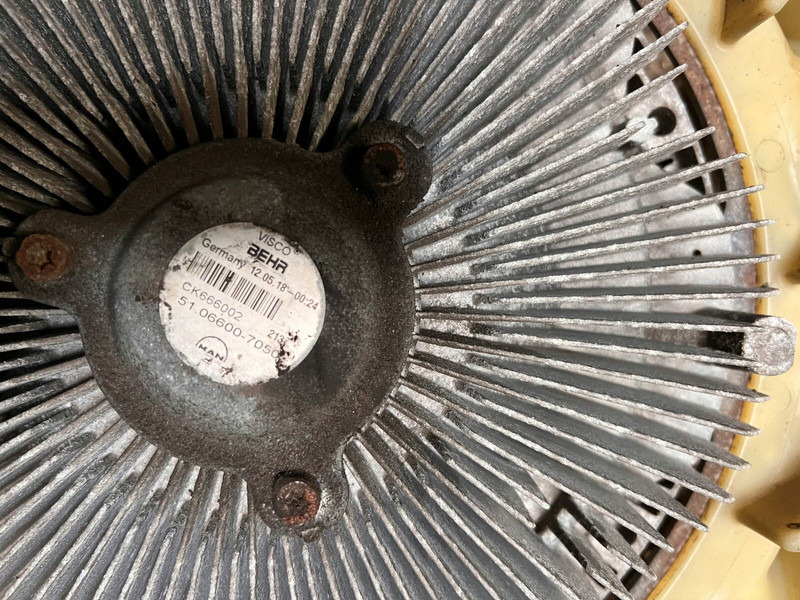 MAN - Fan: picture 2 MAN - Fan: picture 2