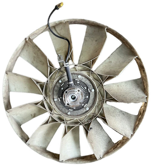 MAN - Fan: picture 2 MAN - Fan: picture 2