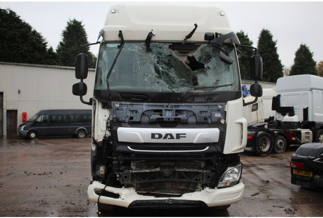 DAF - Tractor unit: picture 2 DAF - Tractor unit: picture 2