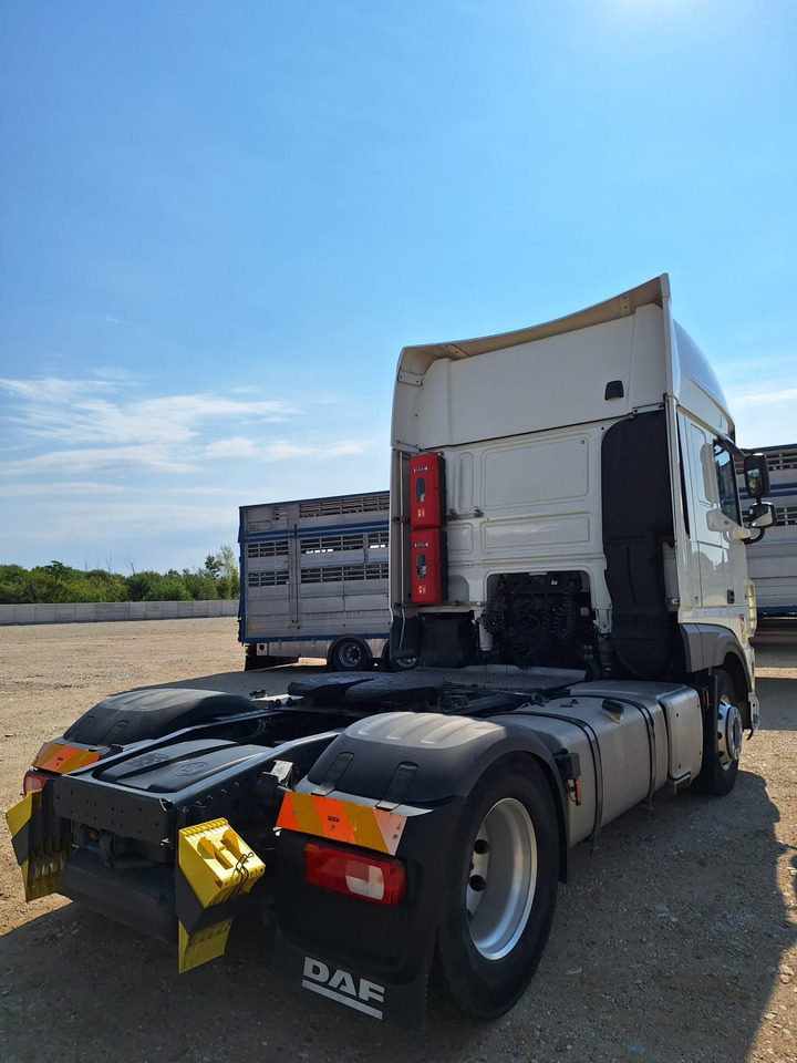 DAF XF 480 - Tractor unit: picture 5 DAF XF 480 - Tractor unit: picture 5